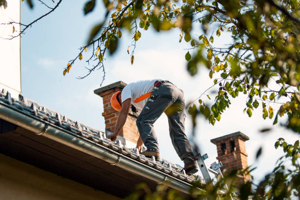 Best Gutter Installation and Roofing  in Homer City, PA