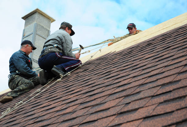 Best Roof Leak Repair  in Homer City, PA